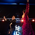 flamenco (90)